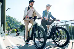 Simplon Kagu Pinion